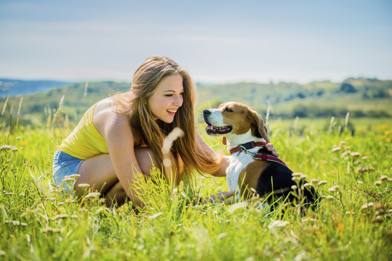 Humane Training With Gentlesteps Pet Stop's Dog Traning Method