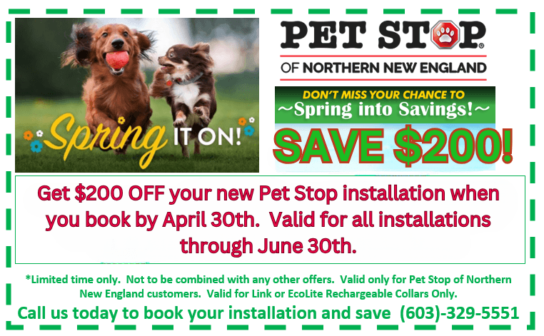 Save $200 Special